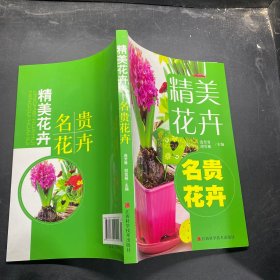 精品花卉：名贵花卉