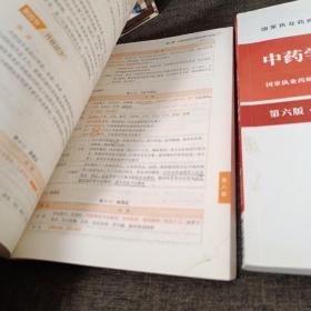 中药学专业知识 中药学综合知识与技能 2020 两册