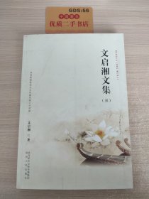 文啟湘文集（三）