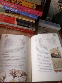 恐龙化石密码