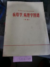 病原学病理学图谱（初稿）