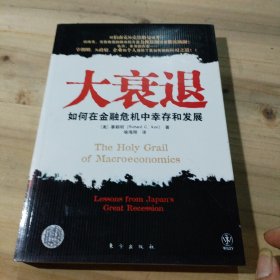 大衰退：如何在金融风暴中幸存和发展