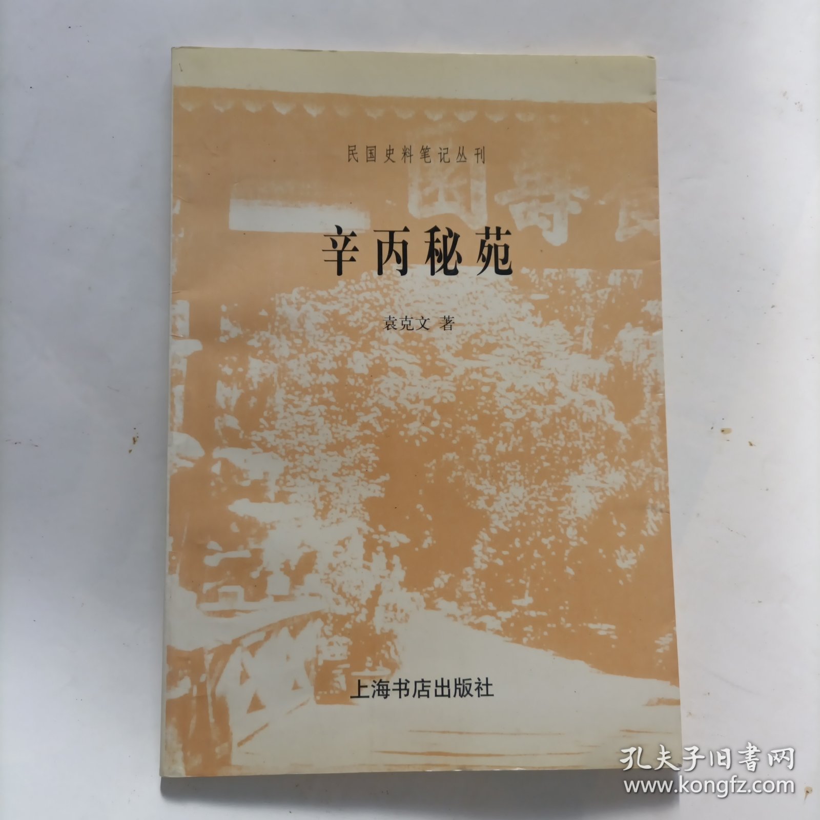 辛丙秘苑 袁克文：民国史料笔记丛刊