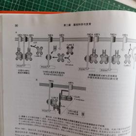 精神病学教科书  馆藏