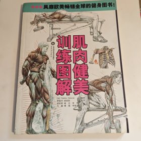 肌肉健美训练图解