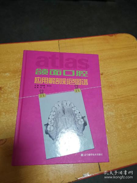 颌面口腔应用解剖彩色图谱