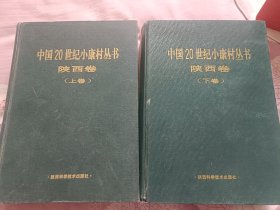 中国20世纪小康村丛书.陕西卷