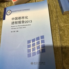 教育部哲学社会科学系列发展报告：中国都市化进程发展报告2013