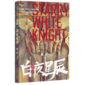 宿敌 白夜星辰 中国现当代文学 赖继 新华正版