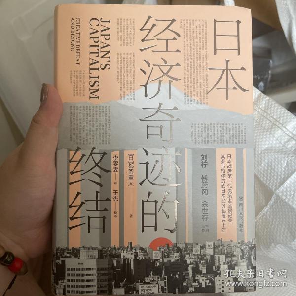 日本经济奇迹的终结(日本经济类经典著作,复盘日本经济发展路径,思索中国经济发展走向)