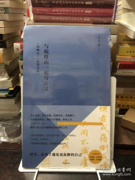 写经课：与祝枝山一起写古文：《东坡记游》《出师表》