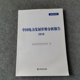 中国电力发展形势分析报告 2018