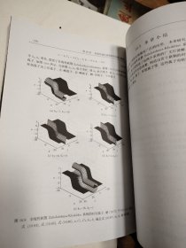 非线性科学丛书：非线性演化系统的符号计算方法