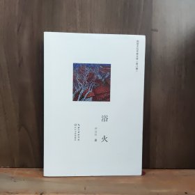 荆楚文坛作家文库（第八辑）浴火