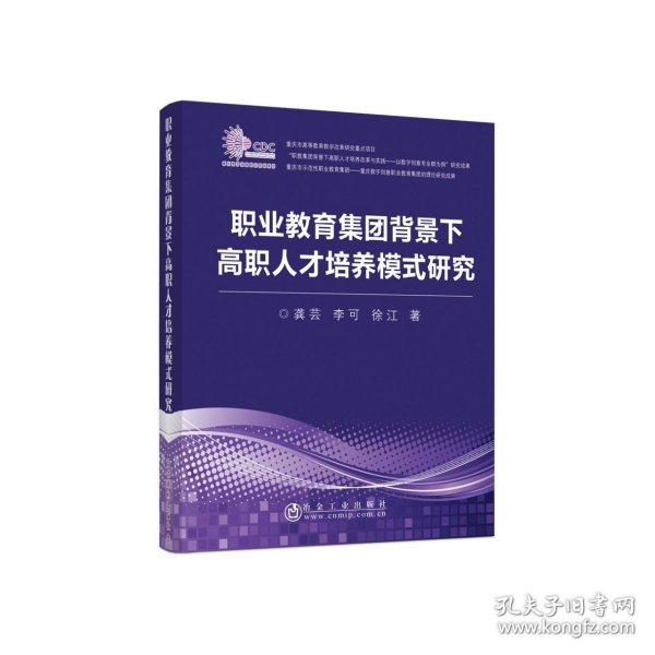 职业教育集团背景下高职人才培养模式研究