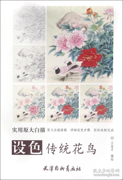 实用原大白描 设色传统花鸟(大8K)/实用原大白描/王金才