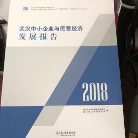 武汉中小企业民营经济发展报告2018