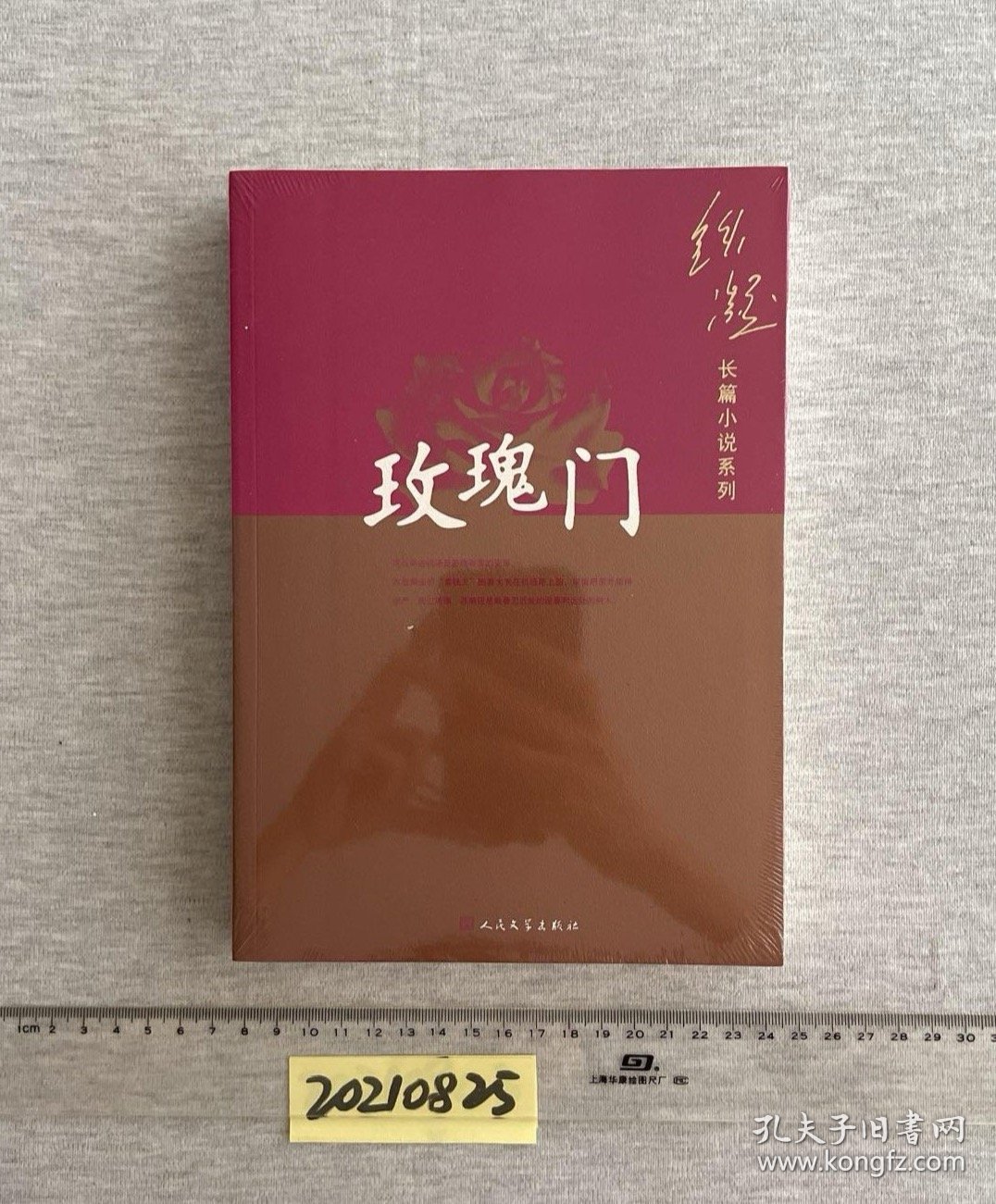 铁凝长篇小说系列：玫瑰门