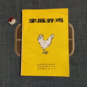 家庭养鸡
