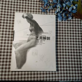 艺用解剖