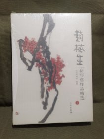 赵梅生新写意作品精选（未拆封）