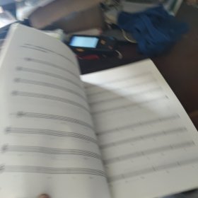 辛笛应用钢琴教学丛书·辛笛应用钢琴和声教程：弹钢琴 学和声