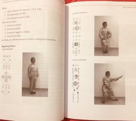 形意拳  宋氏形意拳（原版）珍藏版 几乎全新