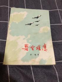 碧空雄鹰