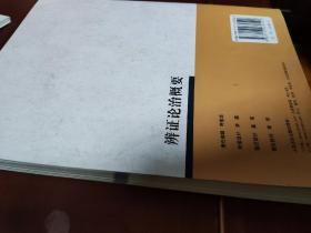 辨证论治概要(供中医学中西医结合等专业用中医药高职高专教材)