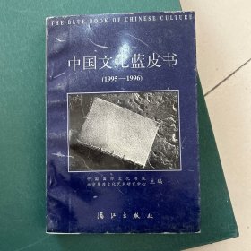 中国文化蓝皮书:1995～1996