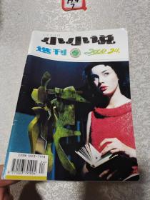 小小说选刊2000年24