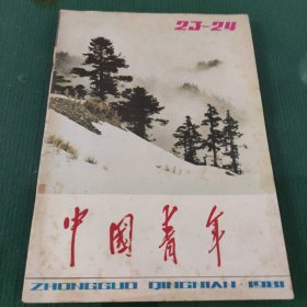 中国青年1981年第23-24期