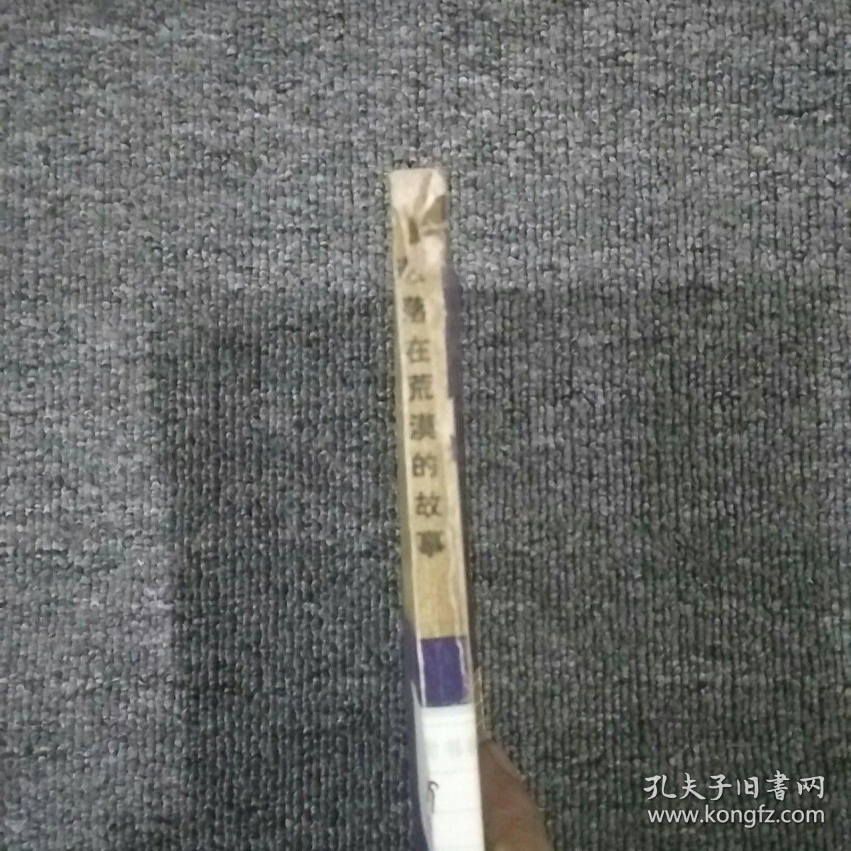 遗落在荒漠的故事