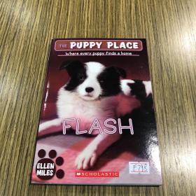 ThePuppyPlace#6:Flash小狗之家6：闪电