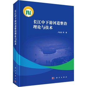 长江中下游河道整治理论与技术