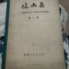 追击集(第一辑)