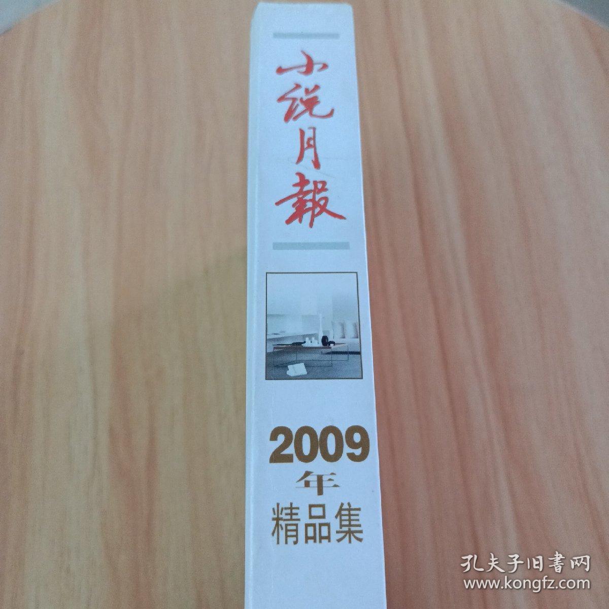 小说月报：2009年精品集