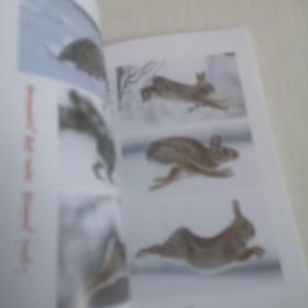 蒙文版：动物书籍，内页彩色插图，285页，书名参考书影图片
