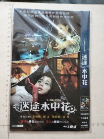 二十四集女性犯罪剧《迷途水中花DVD》2碟装完整版(王艳梅，郁文，杨明利，肖英，唐鉴军，毕畅主演）