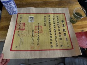 1950年，云南人的，私立光华大学，毕业证书
