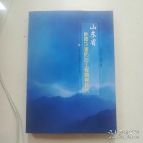 山东省地质灾害防治工程勘查技术(全新未阅)