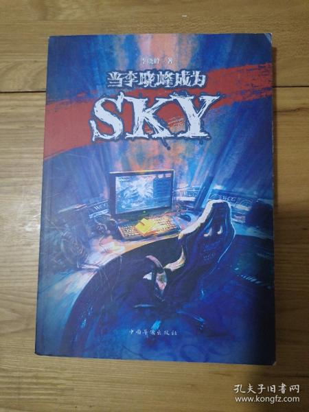 当李晓峰成为SKY