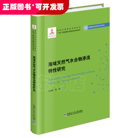 海域天然气水合物渗流特性研究（2020新能源基金）