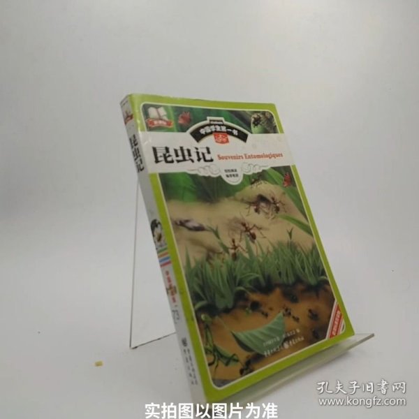 中国学生第一书昆虫记/X8