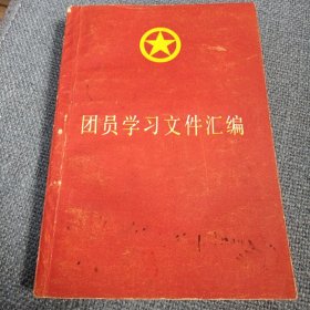 团员学习文件汇编（中国青年出版社）