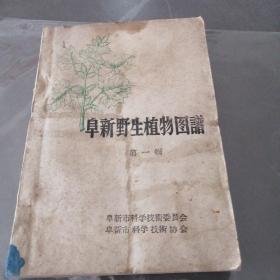 阜新野生植物图谱