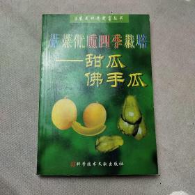 蔬菜優(yōu)質(zhì)四季栽培甜瓜佛手瓜