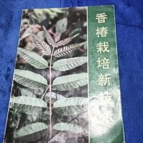 香椿栽培新技术