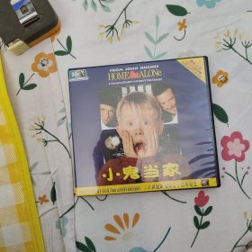 小鬼当家（ 2VCD）