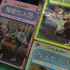 秘密七人团（上中下）：Secret Seven